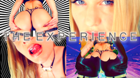 THE EXPERIENCE (that you look for)