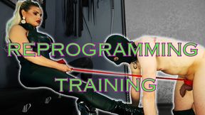 Reprogramming training punishment: Mistress Lexy Noir reprograms you, no excuses training