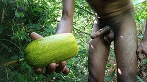 Cucumber Fuck Outdoor in Forest