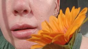 Stevie inducing pignose sneezes with a flower stem