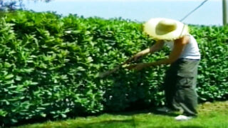 Gecilövés – kemény extrém film francia melegekről, akik kemény anális szexet kapnak