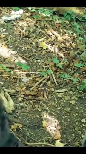 Some Exciting Content Coming up This and Next Week