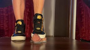 Nike SB Chicago 20 Blazer Mid multicolor Shoejob