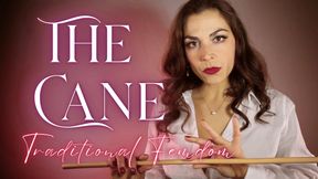 💎 The Art of The Cane 🦯💔