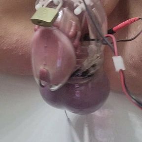 Electro chastity sissygasm