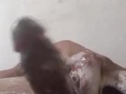 Bañando al penesaurio