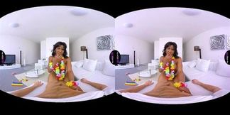 VirtualRealTrans com You must be proud