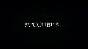 TRUE LATINA LIFE VOL.11