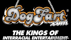 BlacksOnBoys - Black gay boys fuck teen white sexy dudes 10