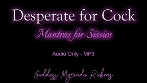 Desperate for Cock - Mantras for Sissies - Audio Only MP3