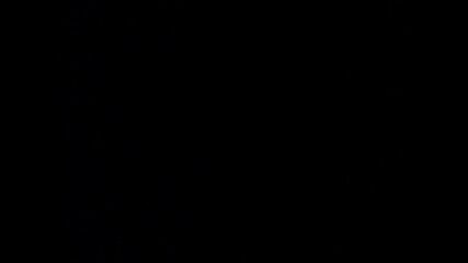 First Vacation in the Army