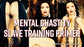 Mental Chastity Slave Training Primer wmv