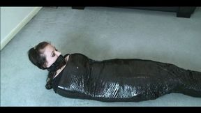 DawnB010 (MP4)