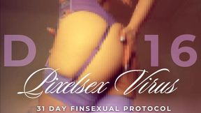 PIXELSEX VIRUS: 31 DAY FINSEXUAL PROTOCOL [16/31]