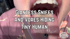 Giantess Phoenix Bates Sniffs Out And Vores Hiding Tiny Human 4k HD - Femdom POV - Close Up - Shrinking Fetish - Mouth Fetish - Vore POV
