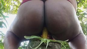 Evang&eacute_lica gostosa do interior da buceta grande e gulosa esguichando na espiga de milho