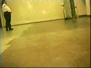 the vault 61 clip # V