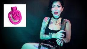 Locktobet Task for Sissies: Clitty Chastity and Big Black Cocks