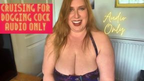 Cruising for Dogging Cock AUDIO ONLY