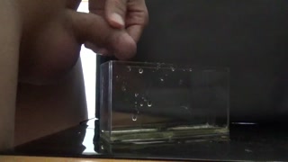 気持ちよくおしっこ遊びをしながら最後はその中に大量射精してしまう変態君。