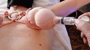 pumped up nipples and ass in bondage anal fuck