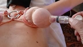 pumped up nipples and ass in bondage anal fuck