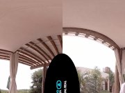 VirtualRealGay - The gardeners powertools