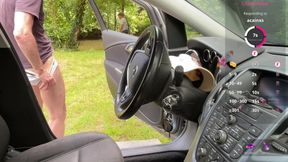 A Sunny Car Encounter