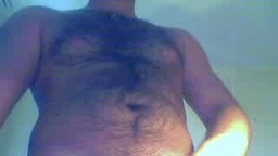 Hairy Chest and Abs
