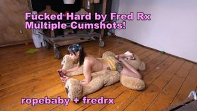 fucked on a bear with multiple cum shots
