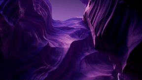 NOTHING LIKE GETTING FUCKED BY TOYS IN THE DUNGEON.