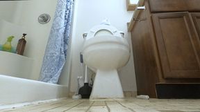 Giantess - You are but a Speck, a mere blip in a Giantess World POV, toilet fetish, Shrinking fetish 4k smaller