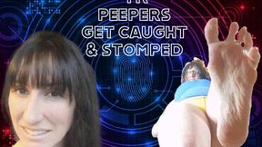 Peepers get caught AND crushed!! 4K wmv