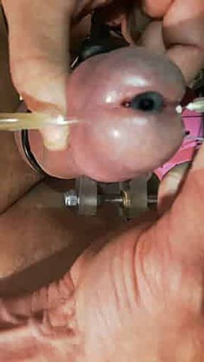 Ballcrush and estim sound lock with four needles