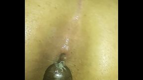 Angolano brincando com putinho