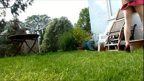 .com 1276947 garden