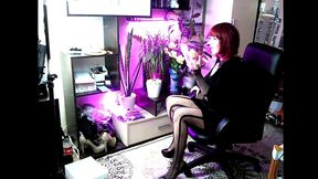 my mature bitch s private chat...))