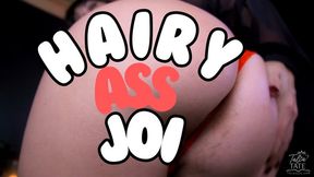 Hairy Ass JOI WMV