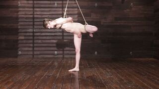 Breaching the Vulcan Mind A shemale Sage Rouxs Pleasurable Punishment Delivers