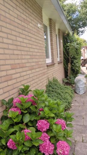 Risky Pussy Play Outdoors