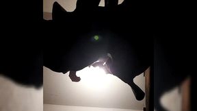 deesse craque et se gode habillee en gothique / erotiquevideo 14 min - ...