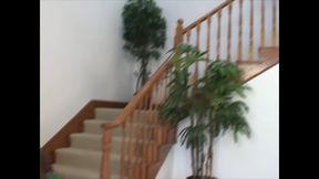 Alana Evans Loves It Big and Black in Her Wet Pussy and Cumshot