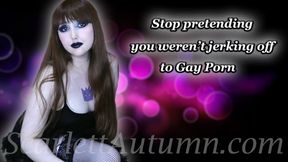 Stop pretending you weren't jerking off to Gay Porn - WMV HD 1080p