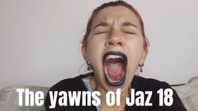 The yawns of Jaz 18