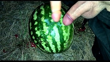 I found a WATERMELON in the forest and fucked it with two members / Male orgasm / Russian dirty talk / Dildo