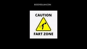 3MIN FART ZONE