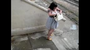 Public Pissing in the Park