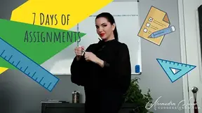 7 Days of Assignments