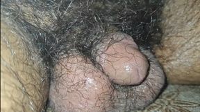 My friend&#039;s dick is small and hairy