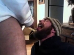 Bear Swallows Wrestling Coach
